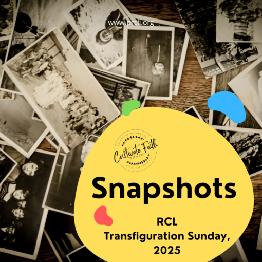 TRANSFIGURATION SUNDAY: Snapshots: RCL