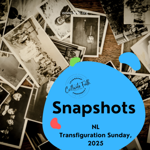 TRANSFIGURATION SUNDAY: Snapshots: NL