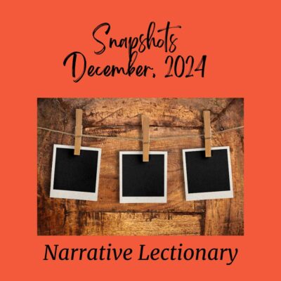 DECEMBER 2024 Snapshots NL Year 3