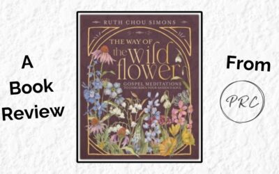 The Way of the Wildflower