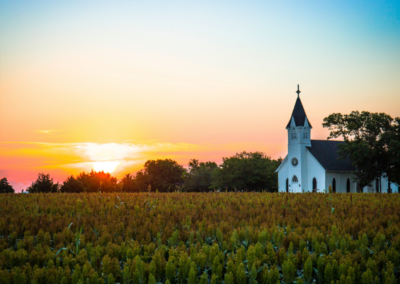 Fields of Green: Unlocking Ministry Potential through Asset Stewardship