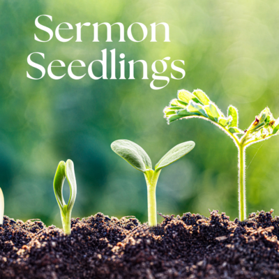 June Sermon Seedlings RCL Year A