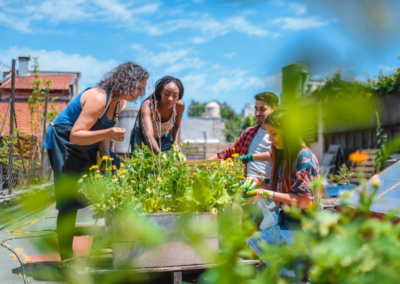Not Just Sundays: Leading the Church in a Changed Culture